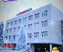 С Наступающим Новым годом 2026!